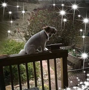 Meet your Posher, Valaria